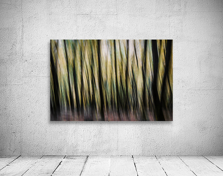 Autumn Trees Abstract Devon Wall Preview