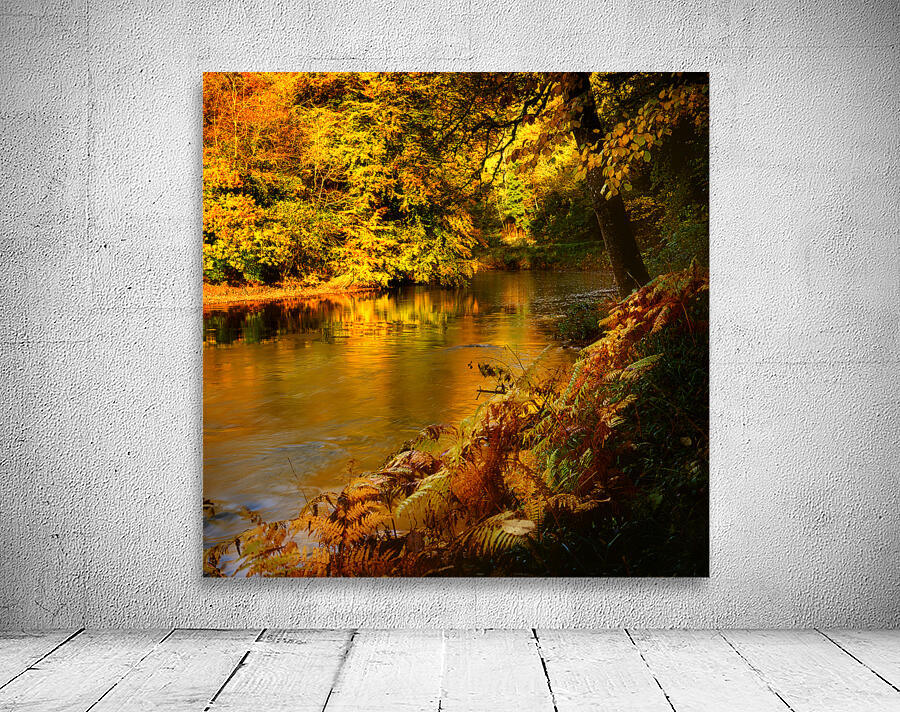Tamar River Tavistock Devon Wall Preview
