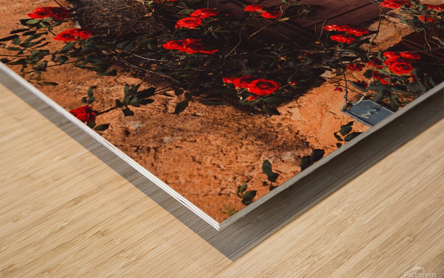 Rustic doorway Valbonne France Wood print