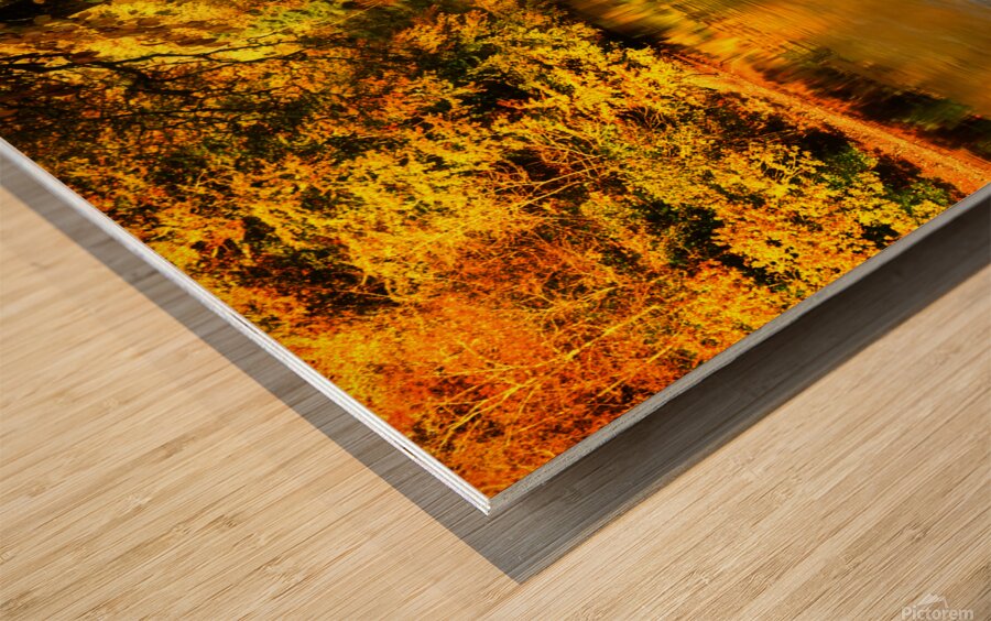 Tamar River Tavistock Devon Wood print