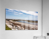 DSC00723 Acrylic Print