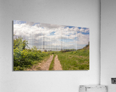 DSC00229 Acrylic Print