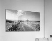 DSC00705 HDR Acrylic Print
