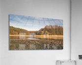 DSC06092 Acrylic Print