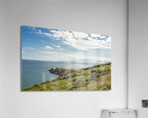 DSC01575 Acrylic Print