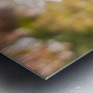DSC00090 Metal print