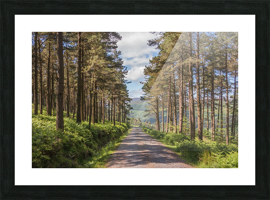 DSC00951 2 Picture Frame print