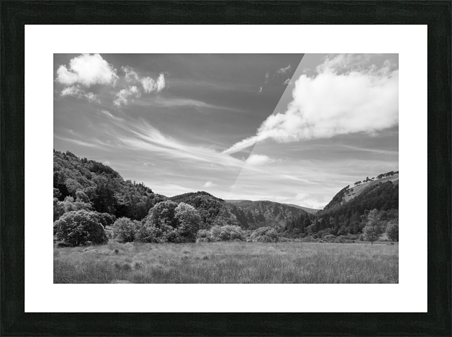 DSC00872 Picture Frame print