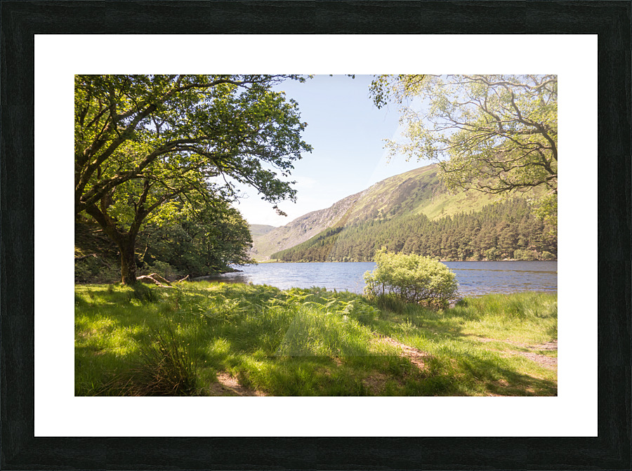 DSC00904 Picture Frame print