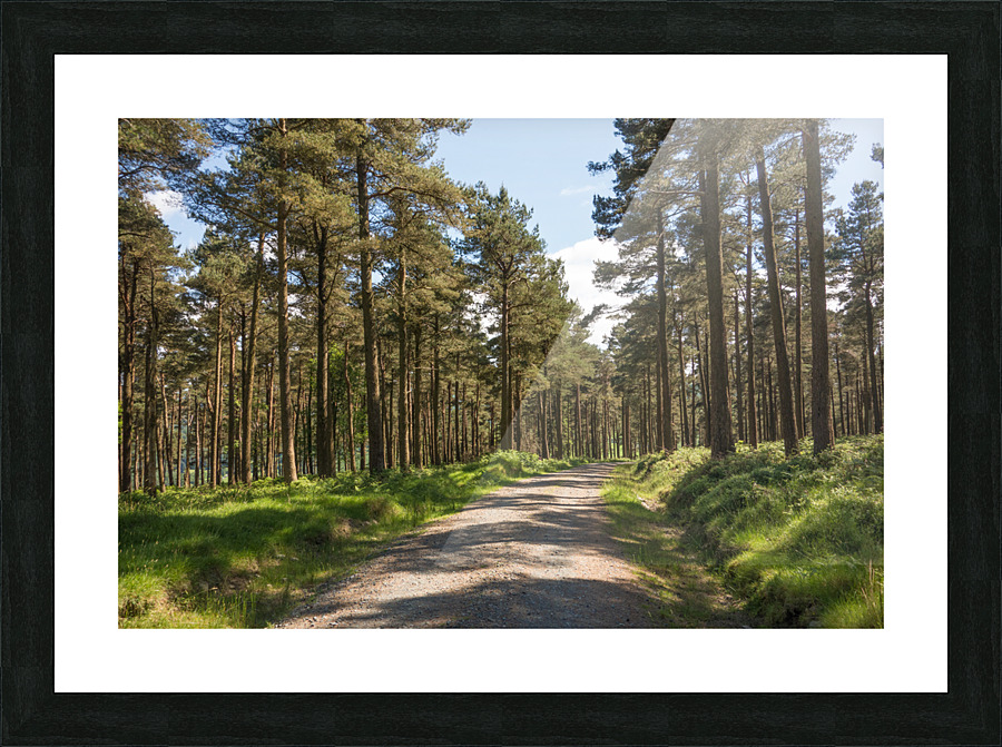 DSC00957 Picture Frame print