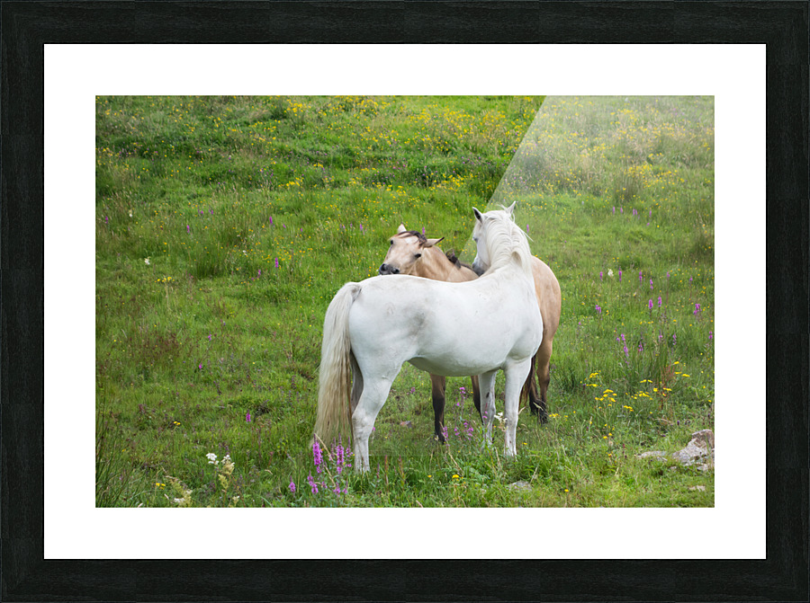 DSC01574 Edit Picture Frame print