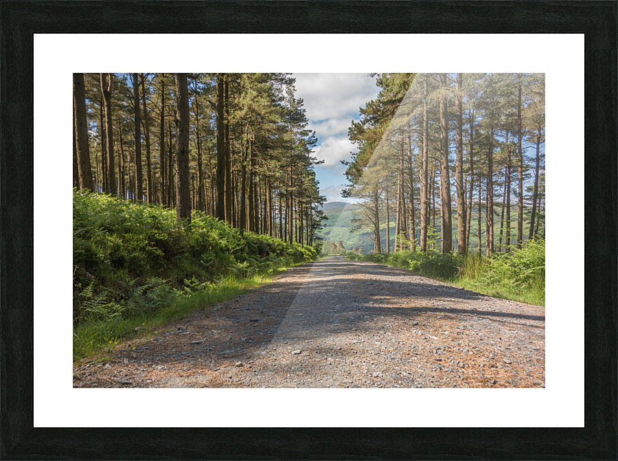 DSC00953 2 Picture Frame print
