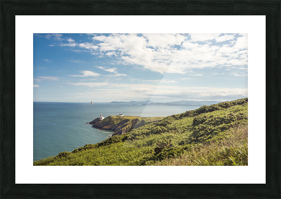 DSC01575 Picture Frame print