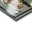 High Tech Acrylic print