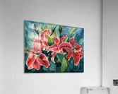 Stargazers Acrylic Print