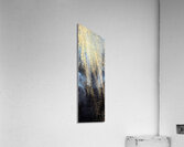 IMG 1327 Acrylic Print