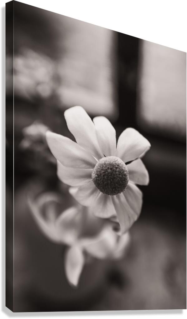SImple Bloom