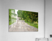 The Moose Road  Acrylic Print