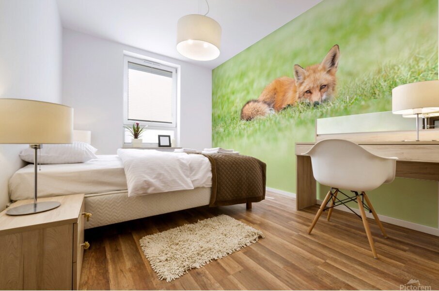  The Sleeping Fox Mural print
