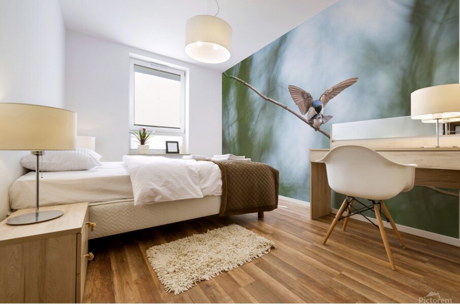 Tree Swallows Mural print