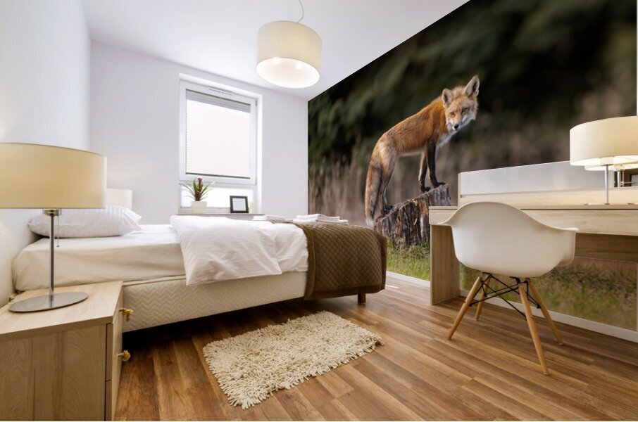 Provider and Protector  Mural print