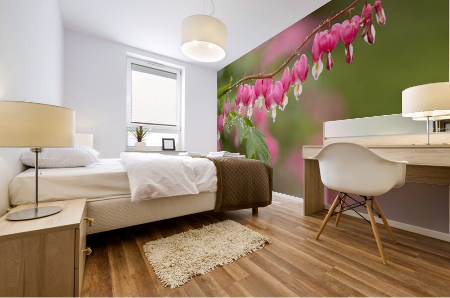 Asian Bleeding Hearts Mural print