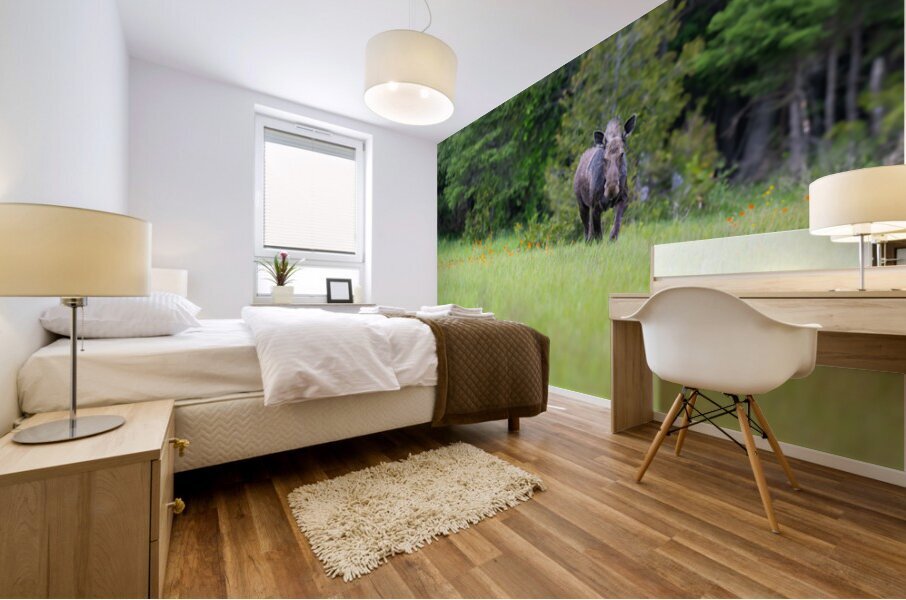 Stare down with a moose Mural print