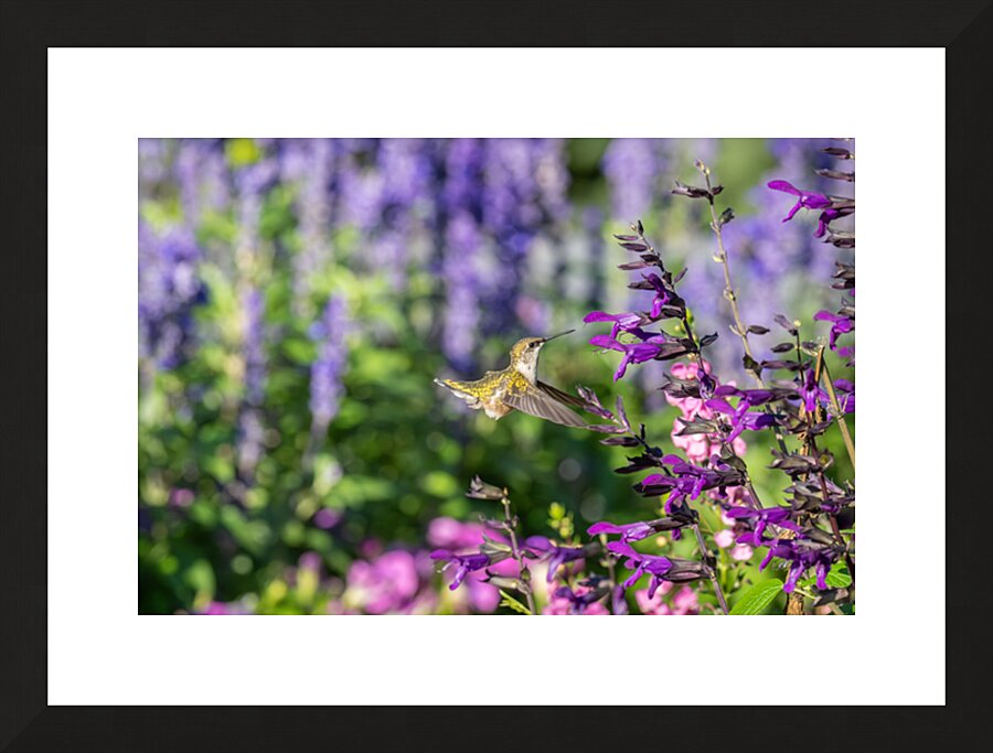 Fine Art print
