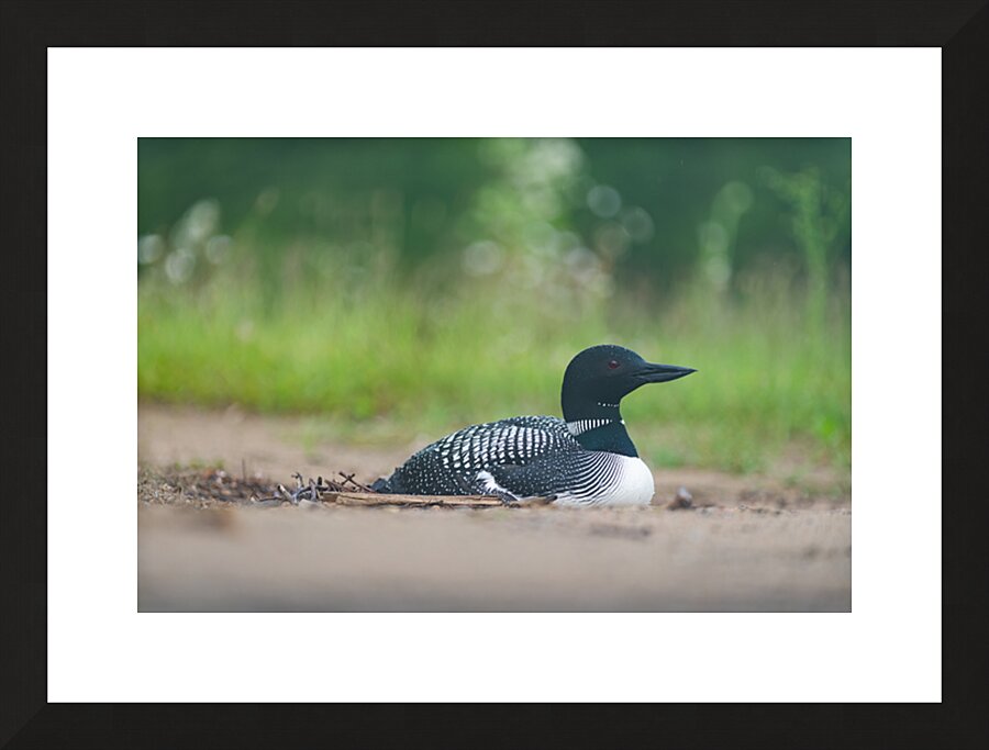 Fine Art print