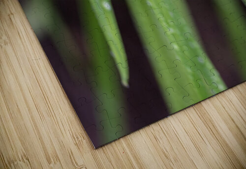 Water Droplets BEING ROY puzzle