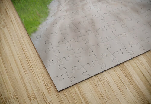 The Moose Road  BEING ROY puzzle
