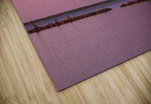 Jacksons Point  BEING ROY puzzle