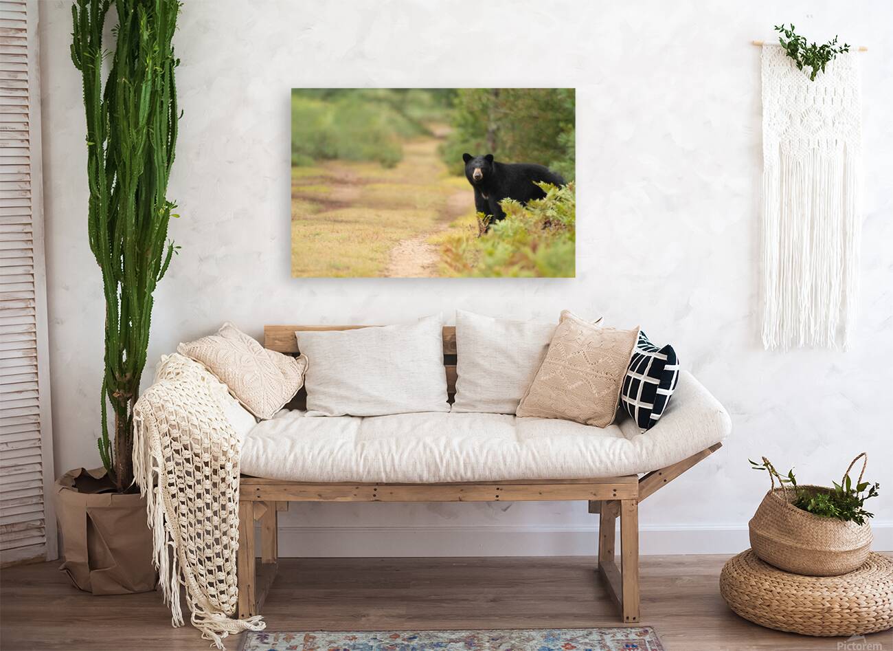 American Black Bear  Reproduction
