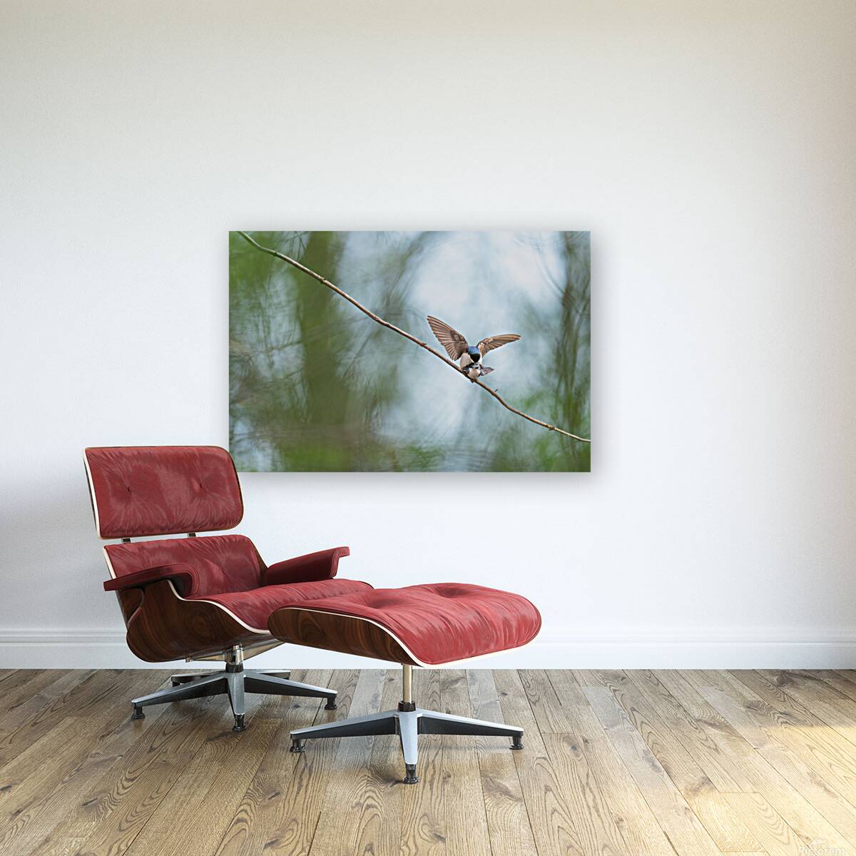 Tree Swallows Reproduction