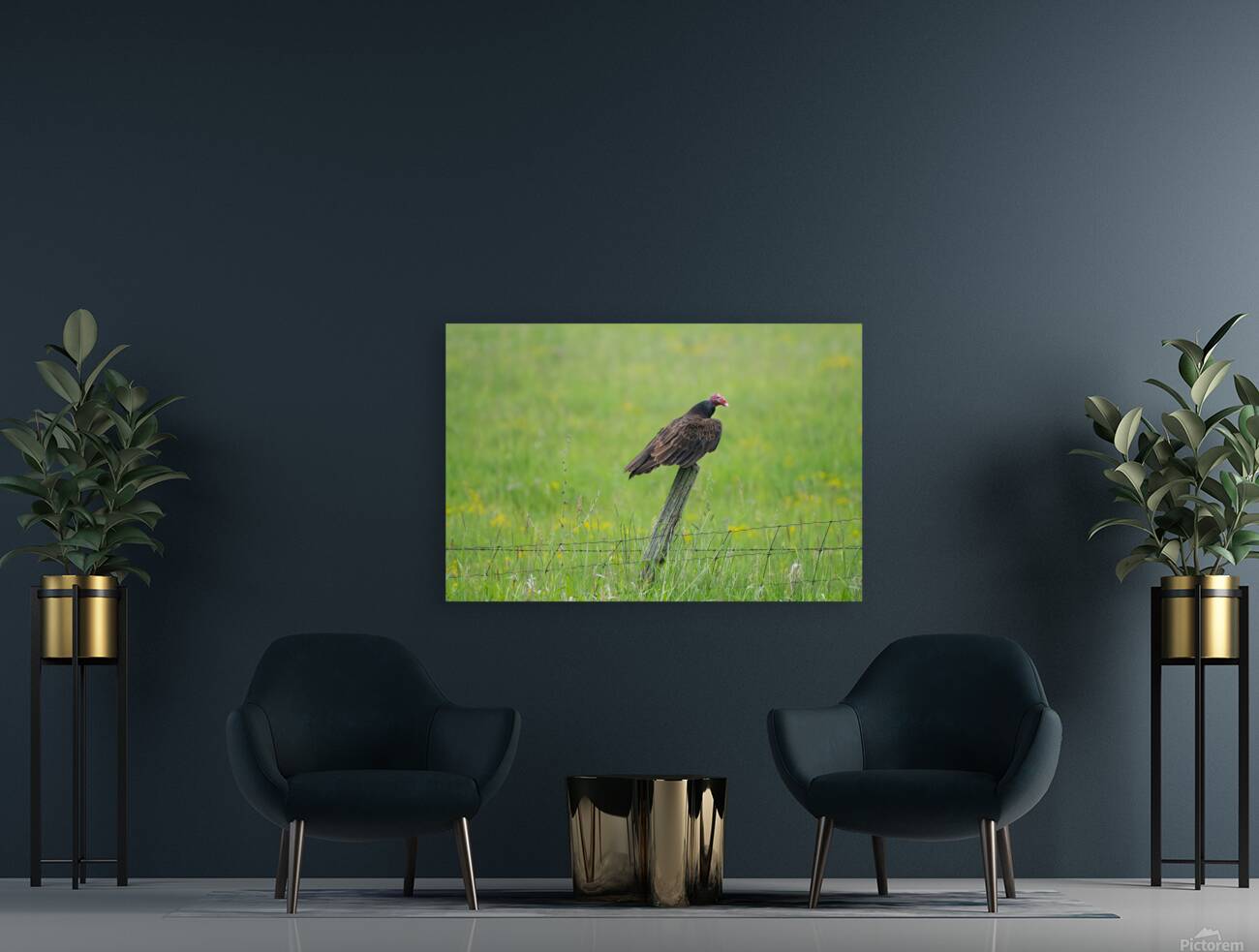 Turkey Vulture  Reproduction