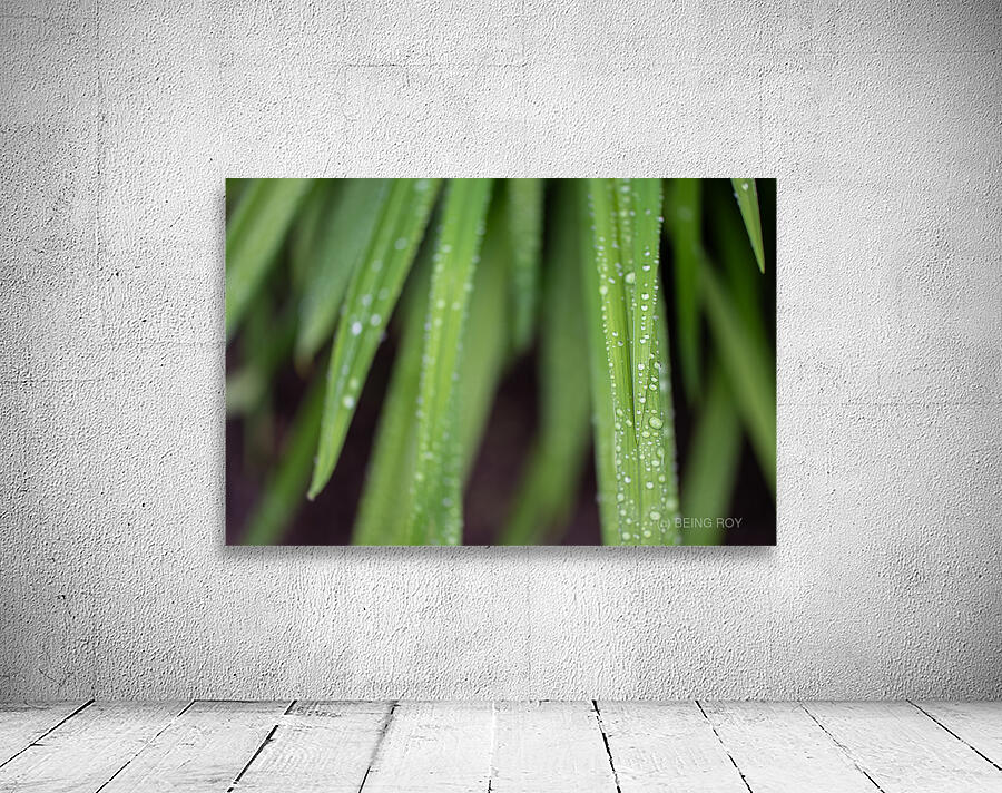 Water Droplets Wall Preview