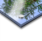 Hawaii Trees 3 Impression Acrylique