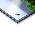 Hawaii Fog Acrylic print