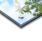 Hawaii Trolley Acrylic print