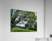 Beach Lawn Acrylic Print