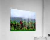 Hawaii Fog Acrylic Print