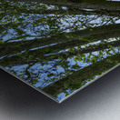 Beach Lawn Metal print