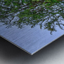 Hawaii Trees 3 Impression metal