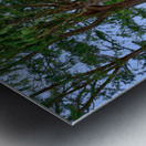 Hawaii Trees 4 Metal print