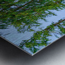 Hawaii Trees Metal print