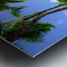 Hawaii Palms Beach 2 Impression metal
