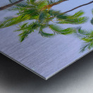 Hawaii Surf Impression metal