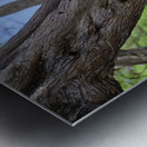 Hawaii Cardinal III Impression metal