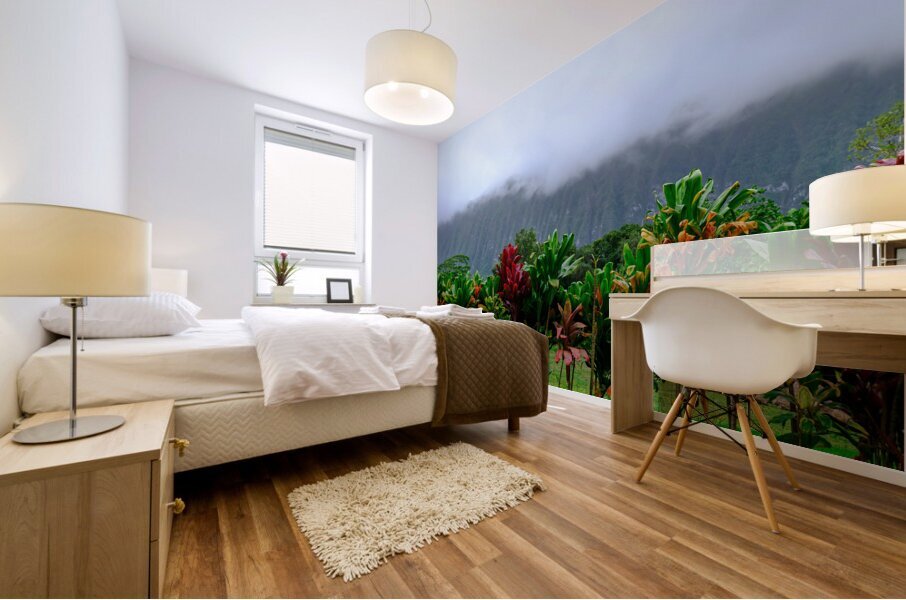 Hawaii Fog Mural print