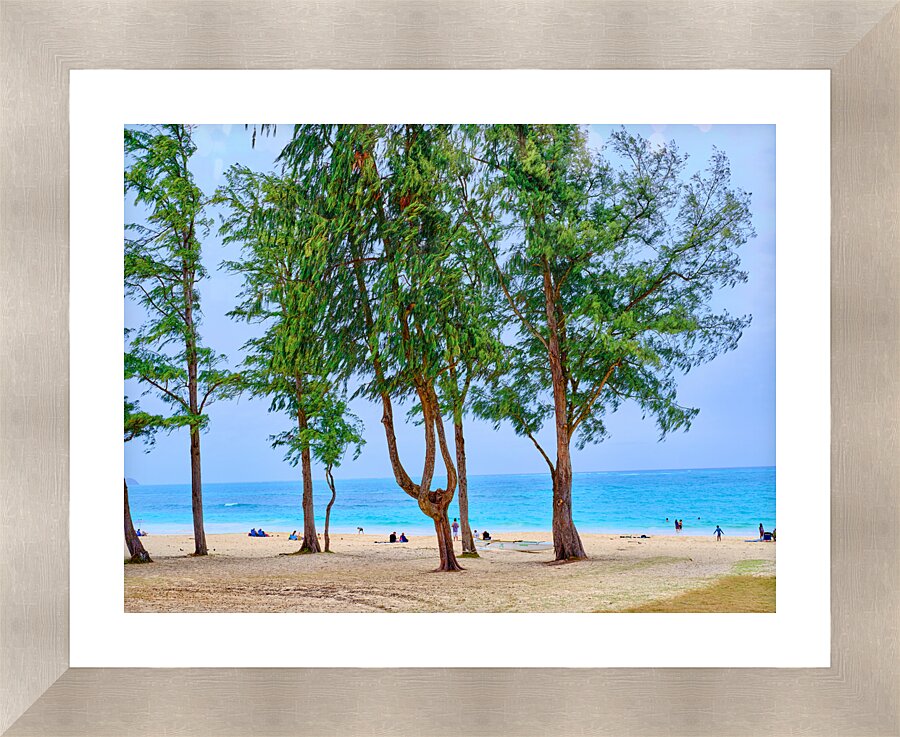 Hawaii Trees Picture Frame print
